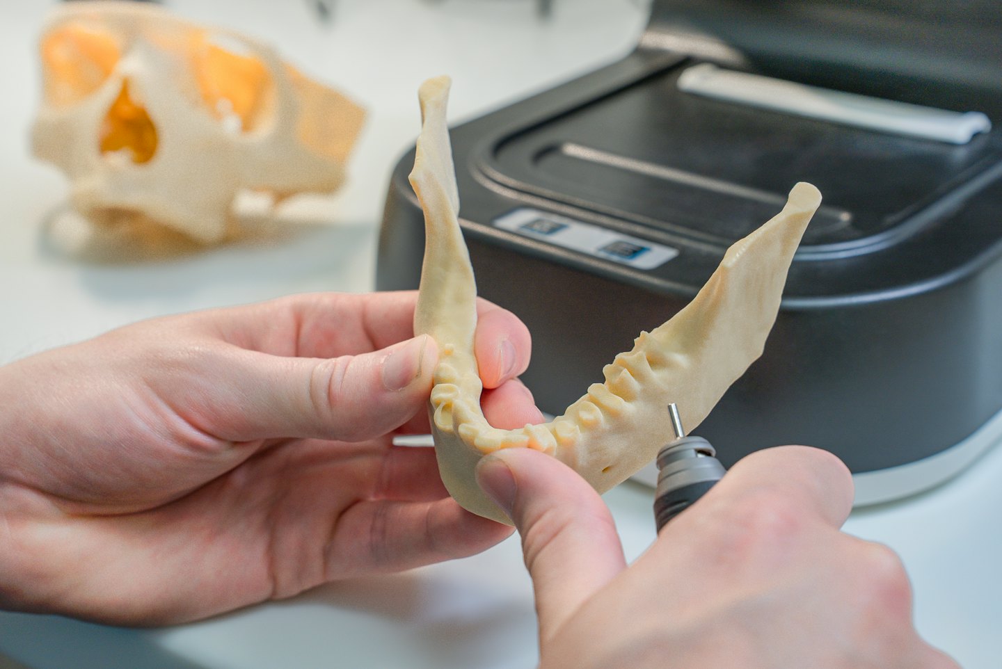 Mani che rifiniscono un modello di mandibola stampato in 3D con uno strumento rotante.